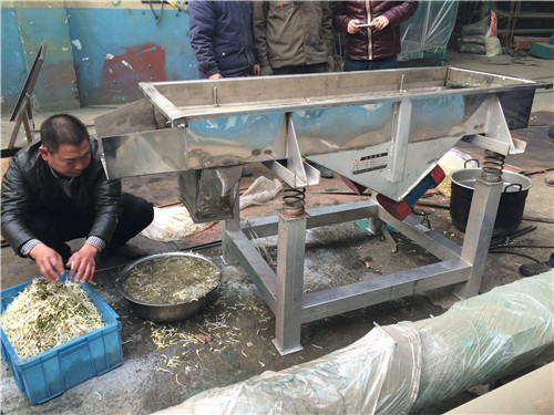 豆芽去皮機(jī)振動篩